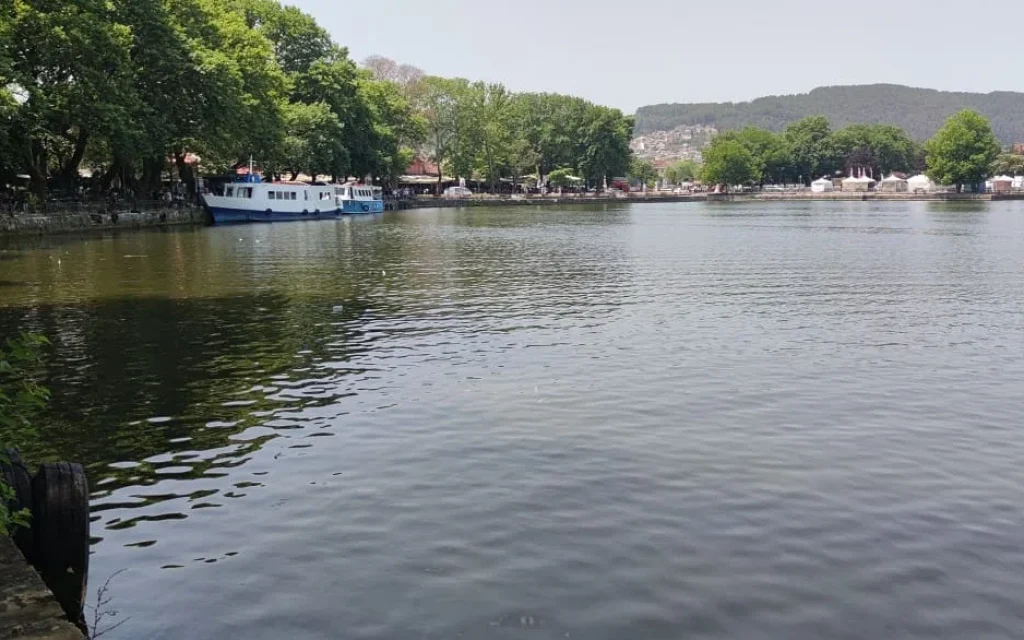 limni pamvotida