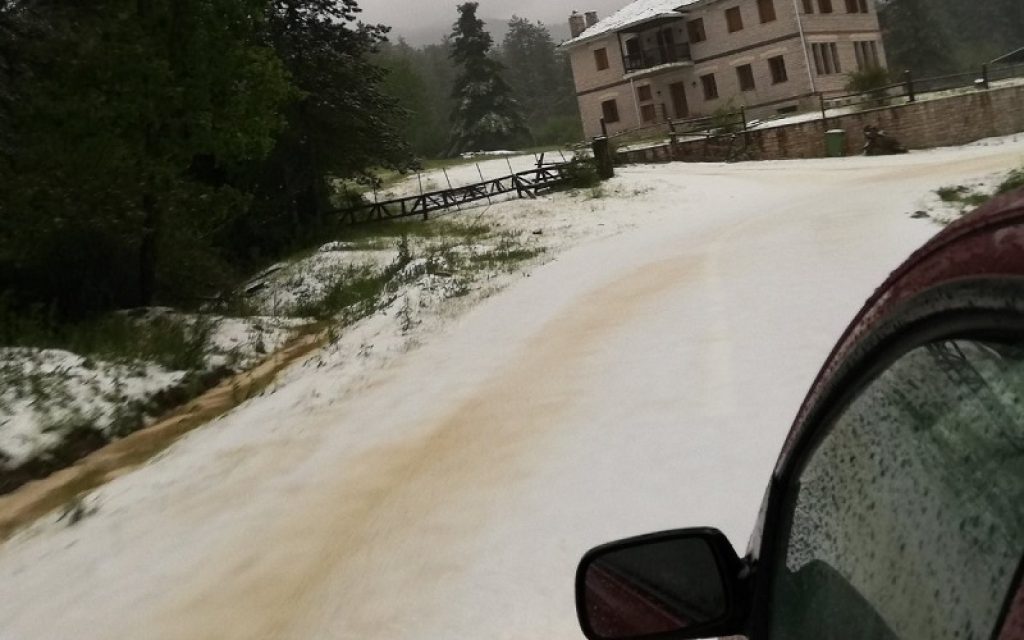 maios xioni1