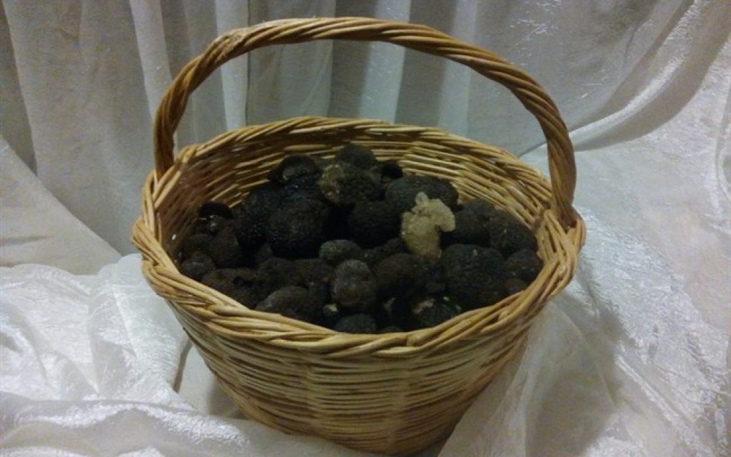 manitari troufa
