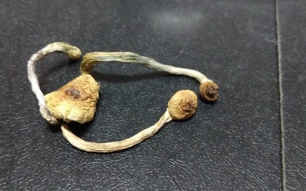 manitaria astinomia
