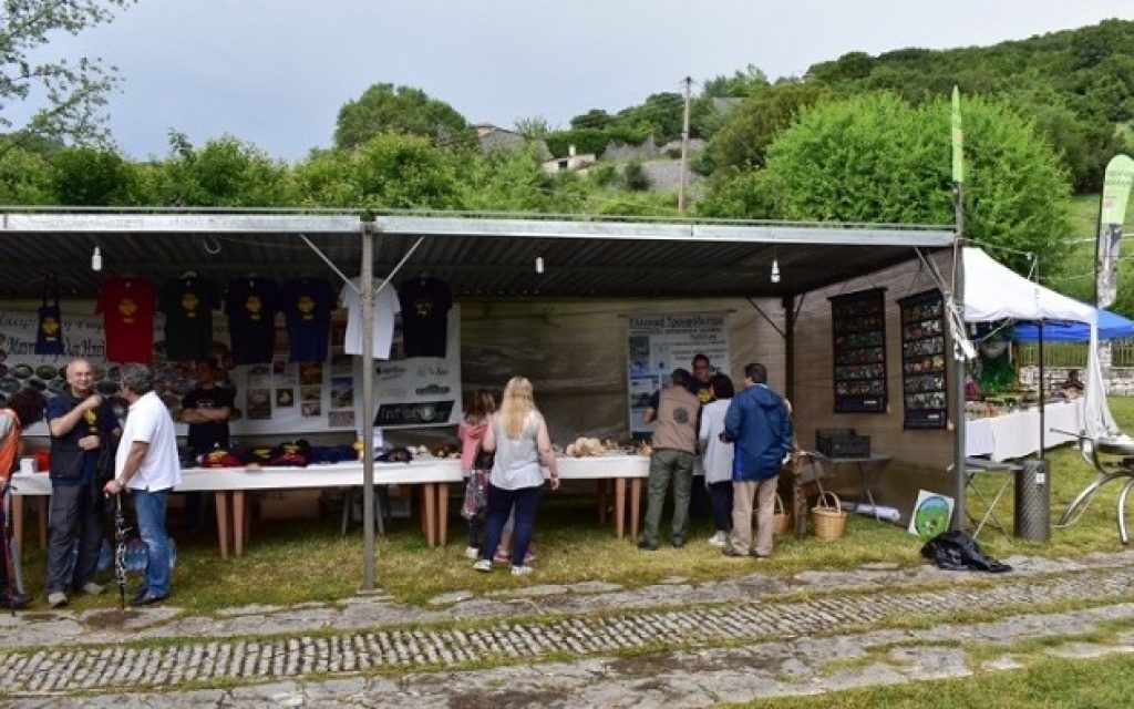 manitaria zagori1