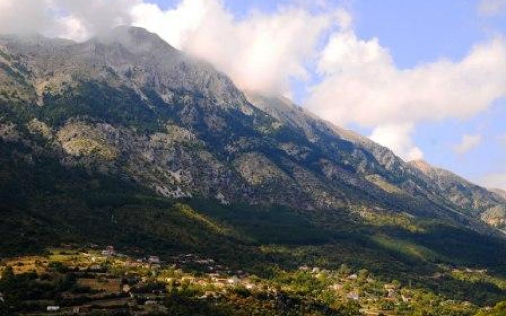 meliggoi