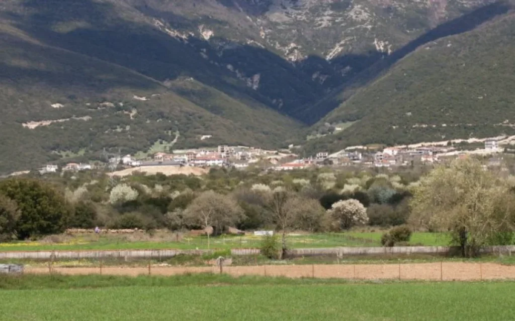 metamorfosi karies