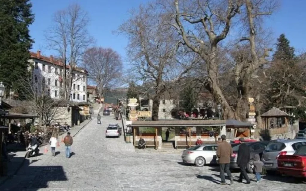 metsovo geniki epirus