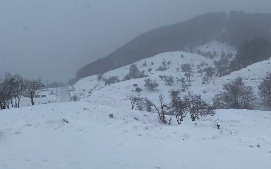 metsovo x1