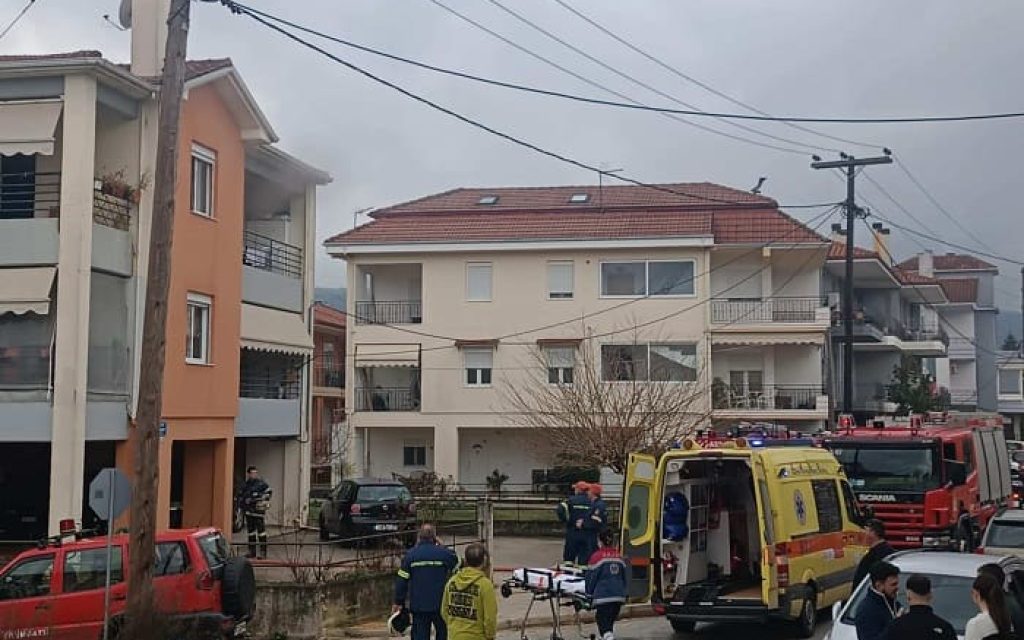 mezoneta seismoplikta