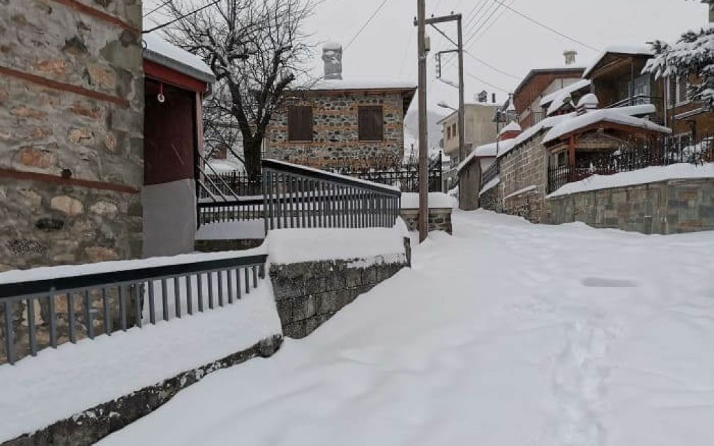 milia f