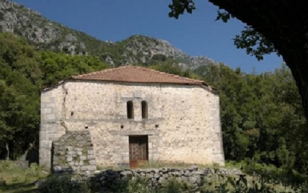 moni veliani