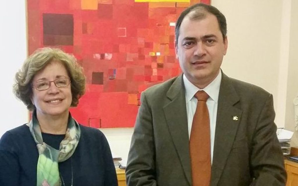 nikopoli sinantisi