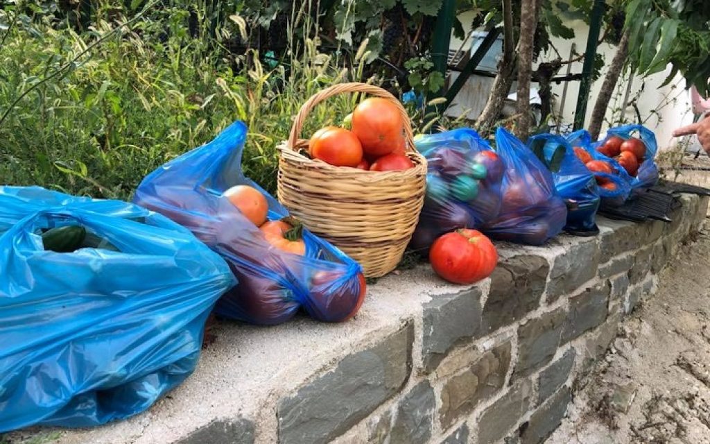 ntomata metsovo1