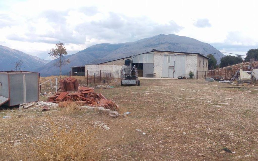 ntrikos stavlos