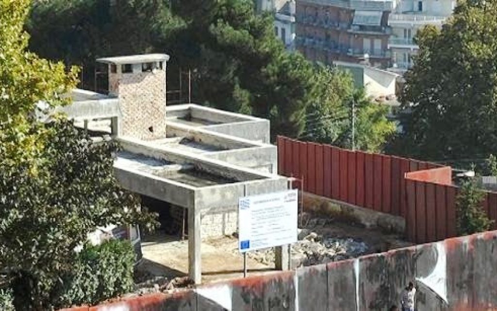 oasis15