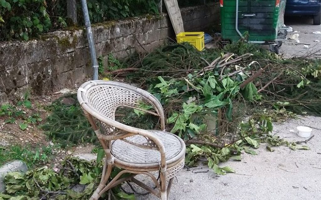 odos sarafi1