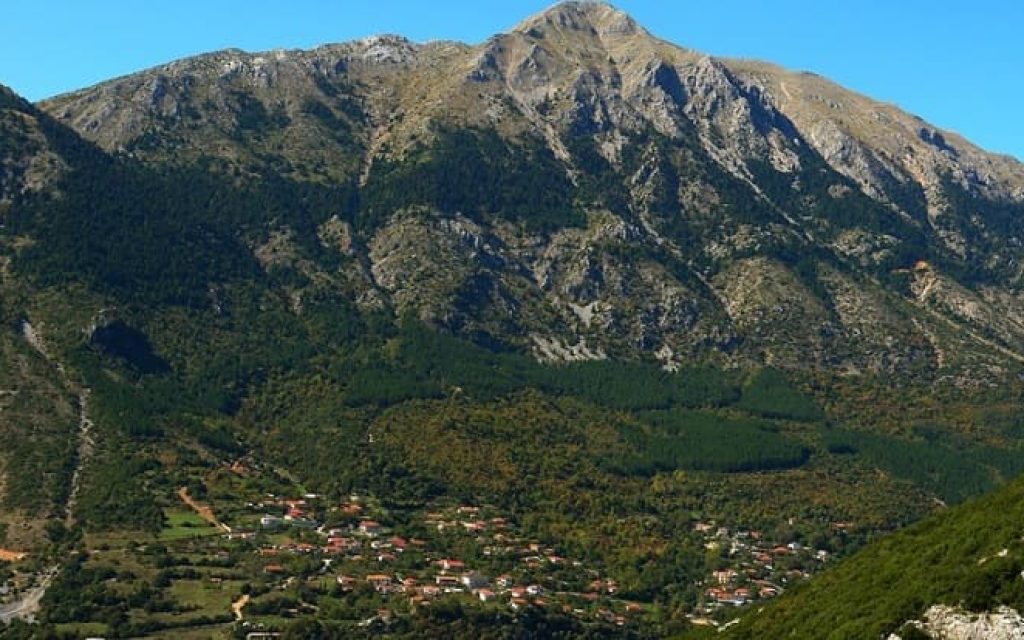 olitsika dodoni