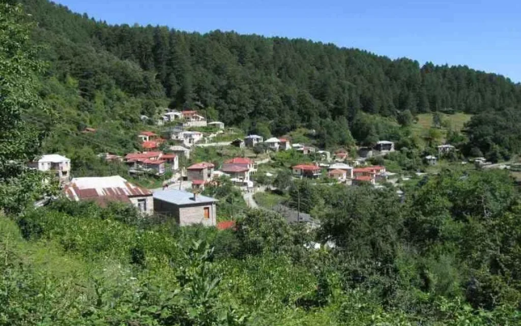 palaioseli