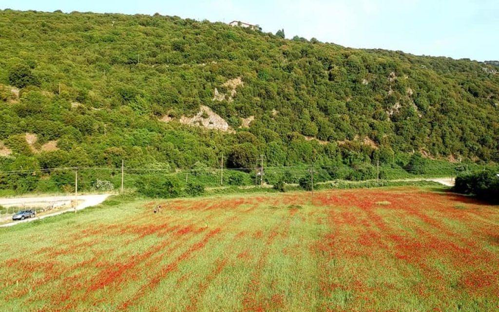 paparounes kastritsa1