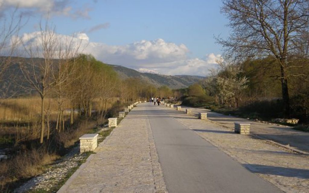 paral pezod