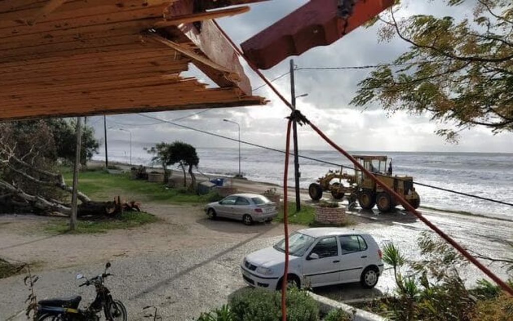 paralia zimies