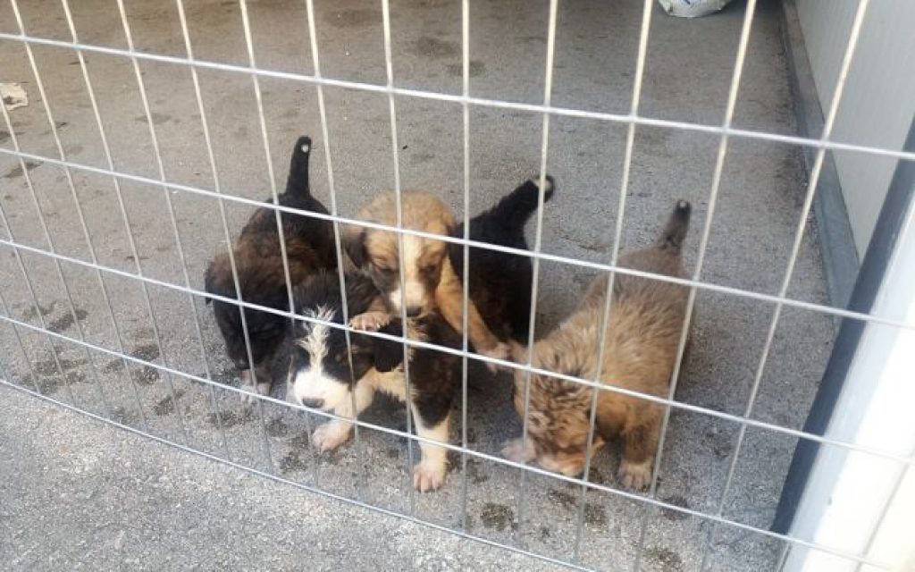 parga koytavakia