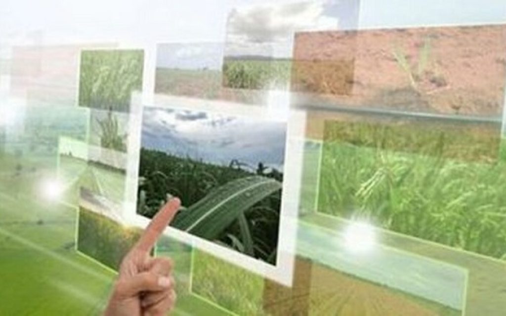 parko agrotikis kainotomias