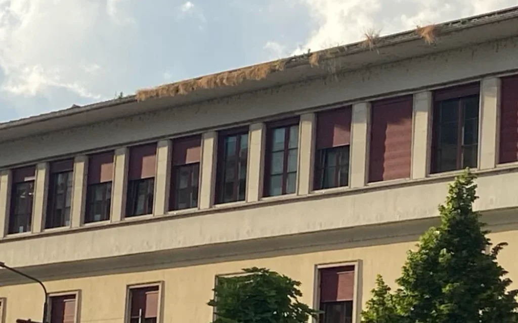 perifereia xorta