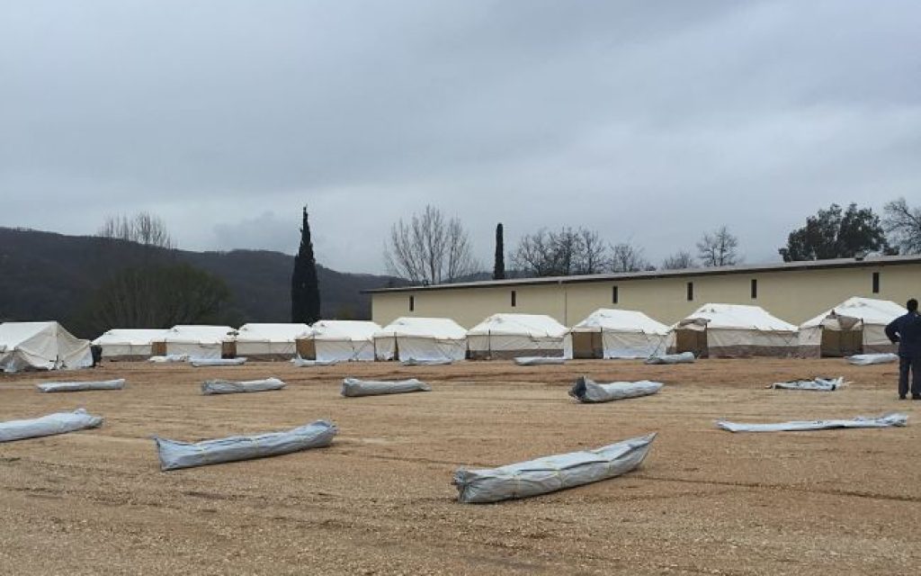 petro skines1