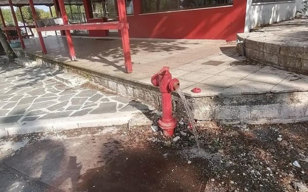 pirosvestikoi krounoi