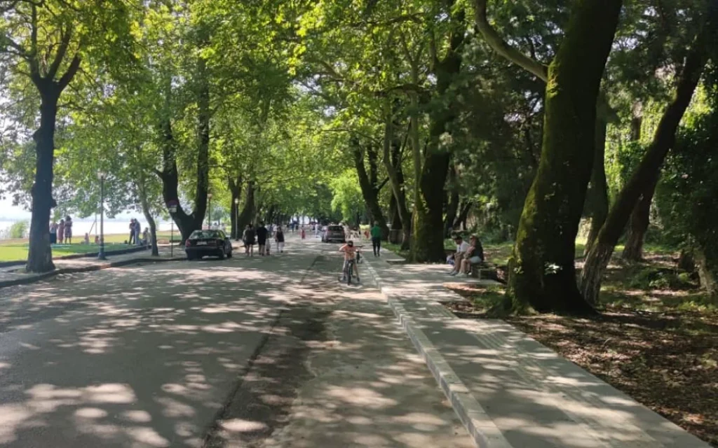 platania paralimnios ()