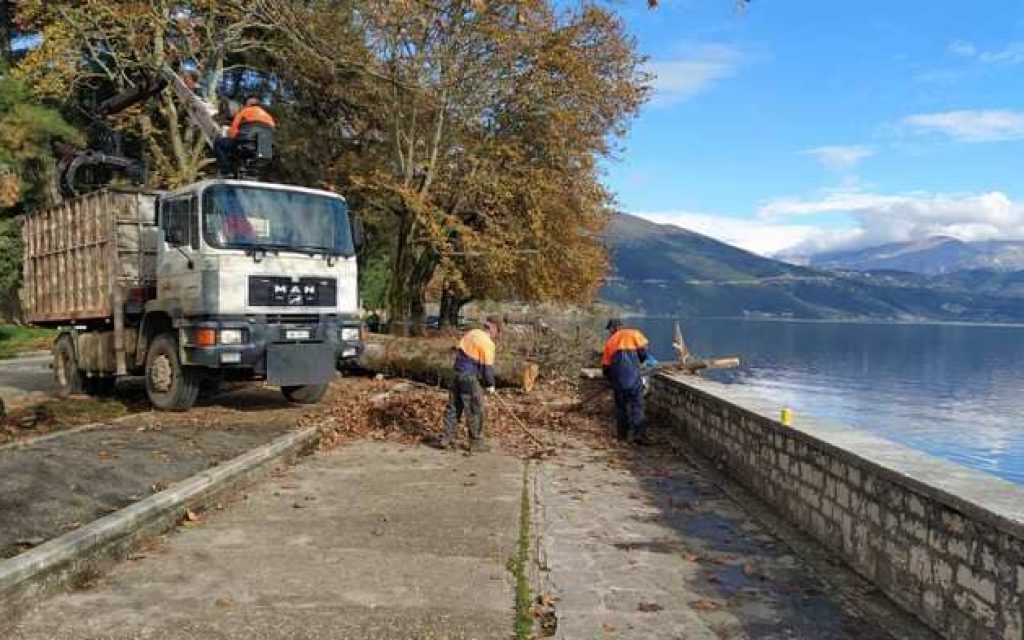 platania paralimnios