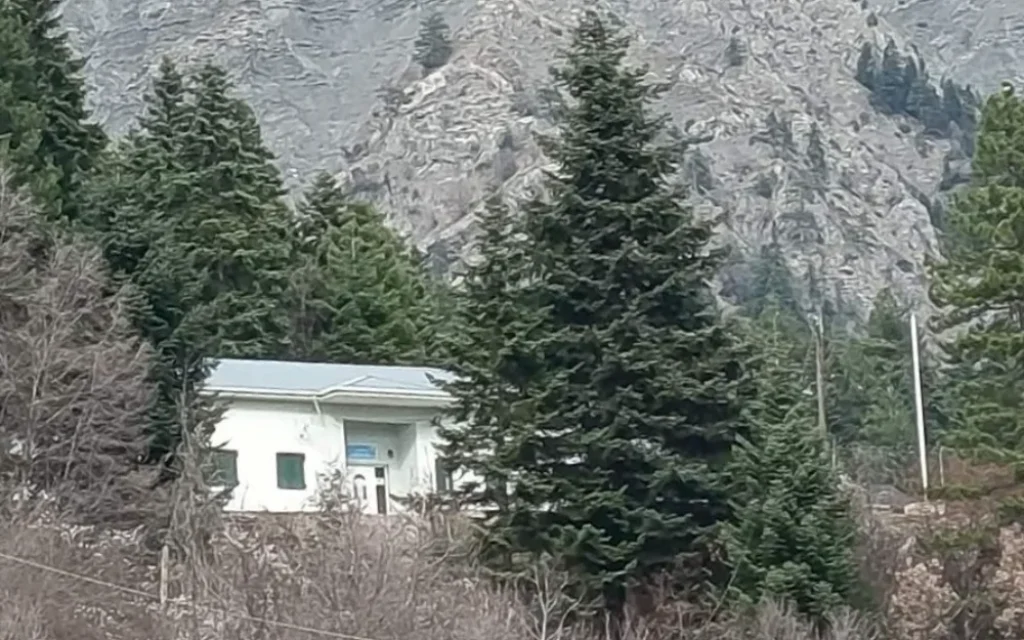 plikti filakio