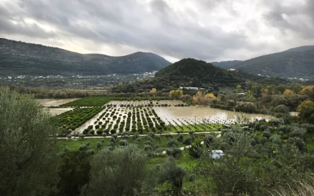 plimmires thesprotia