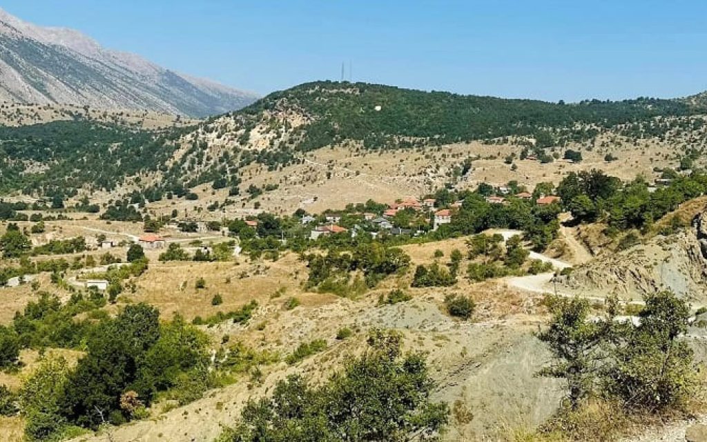 pogoni al