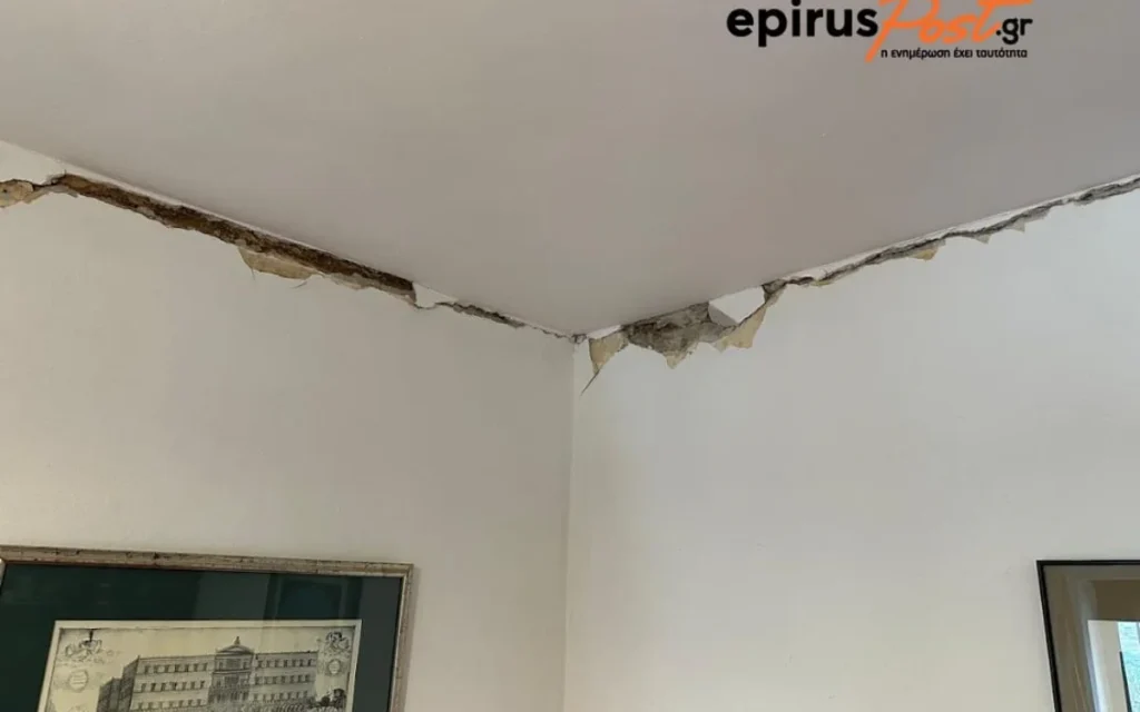 polidroso zimies