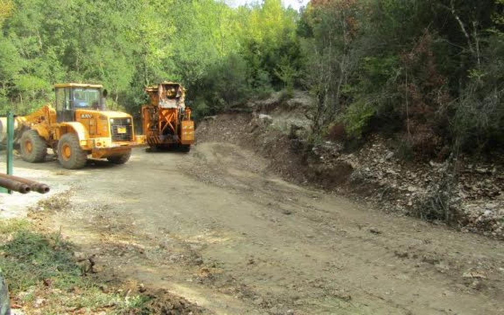 polistafilo geotrisi