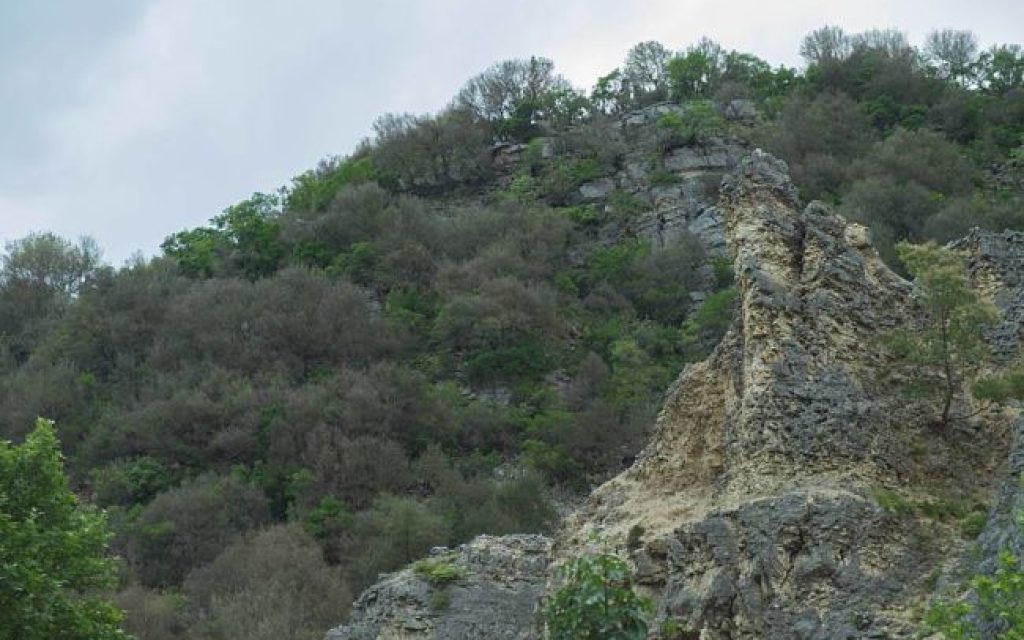 pournaria