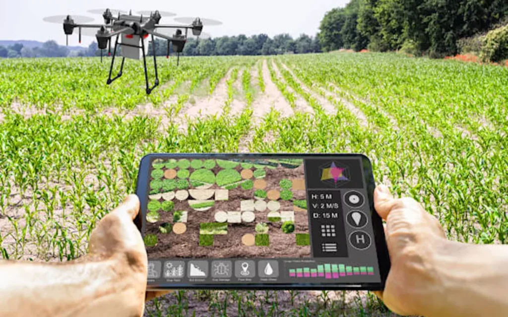 programma neon agroton