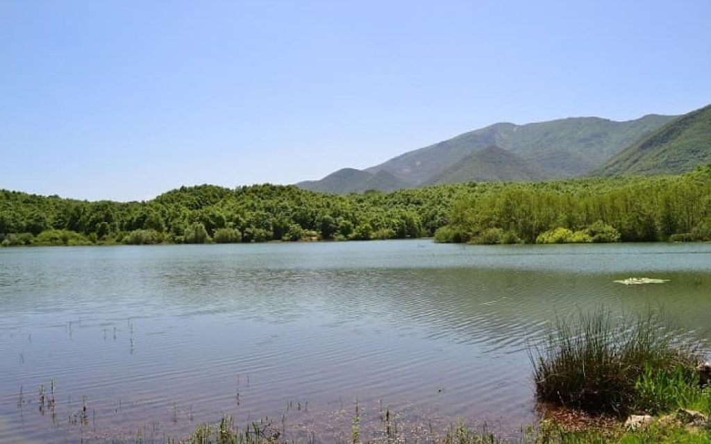 riaxovo