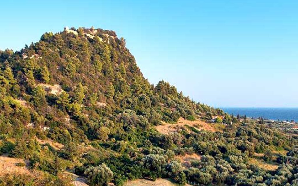 riniasa kastro