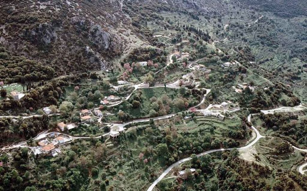 rizo filiaton