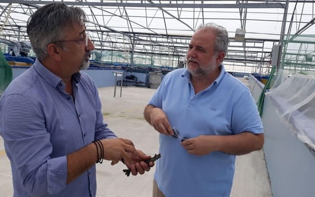 rizopoulos garides
