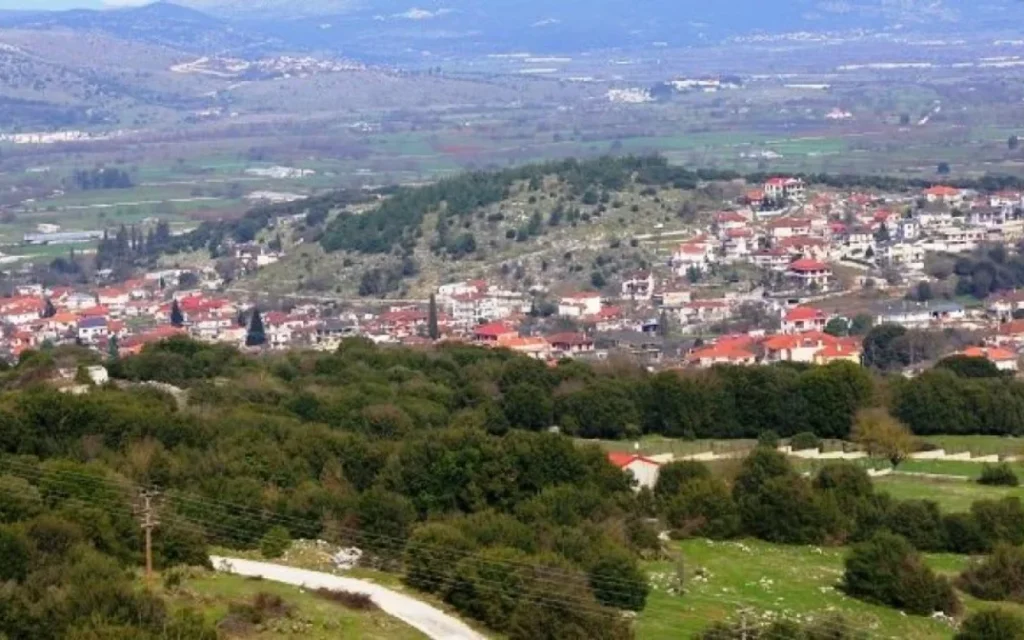 rodotopi