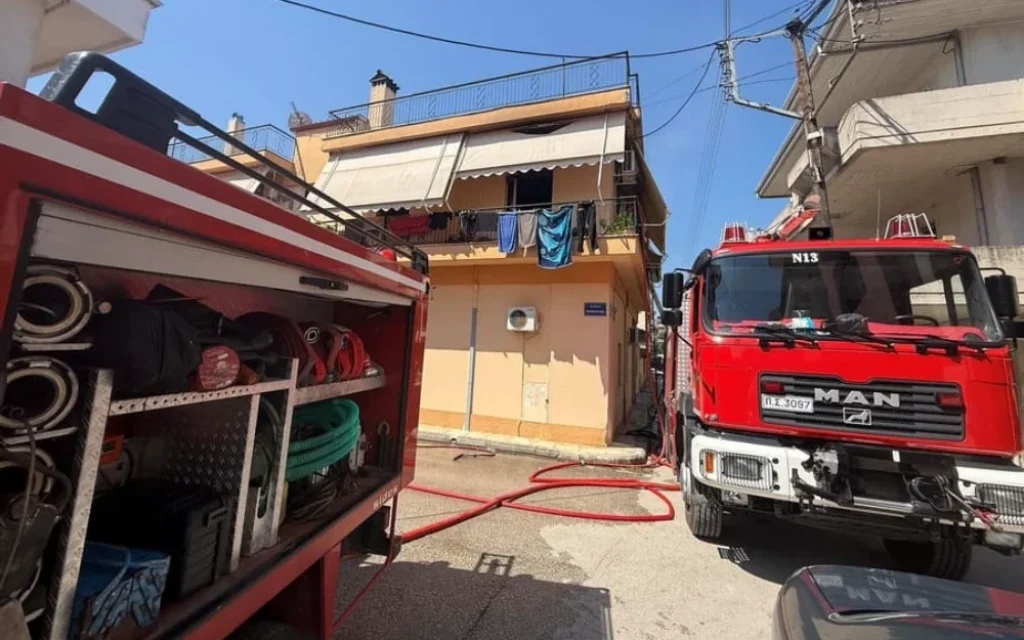 seismoplikta fotia ()