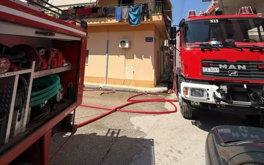 seismoplikta fotia ()