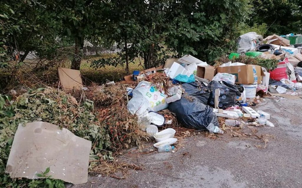 seismoplikta skopidia