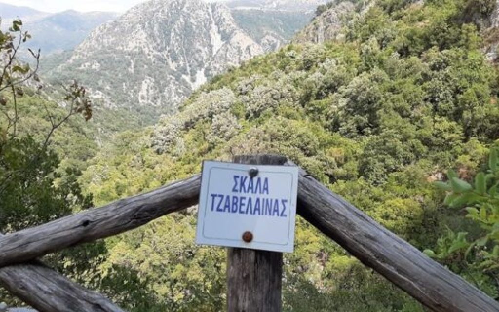 skala tz