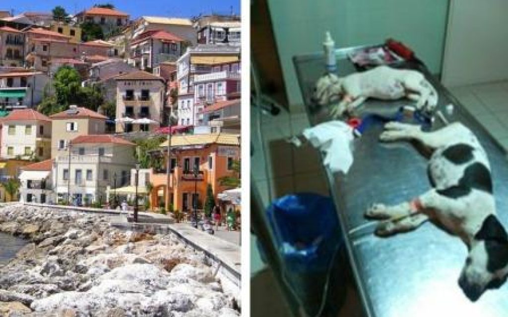 skilia parga