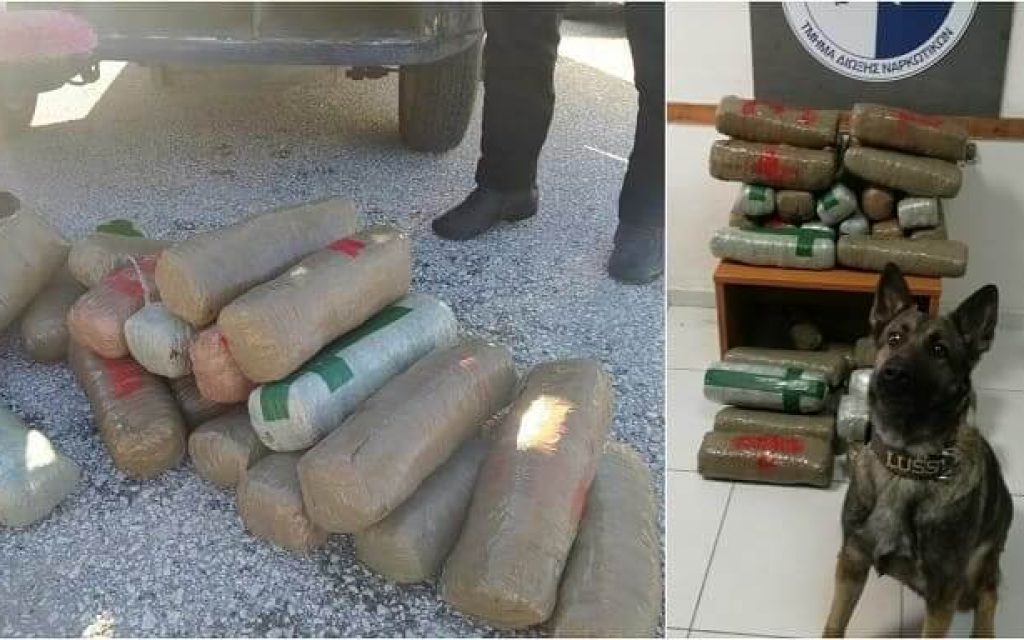 skilos narkotika thesprotia