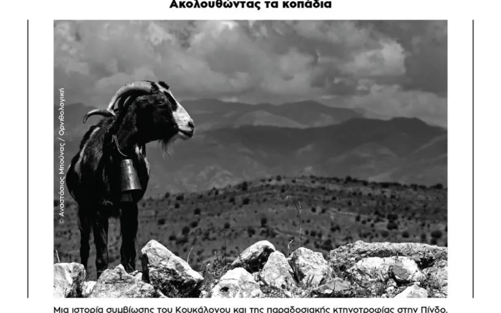 ta kopadia
