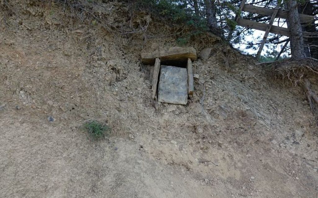 tafos skamneli2