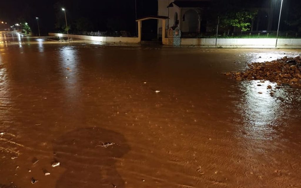 tirgia pp2